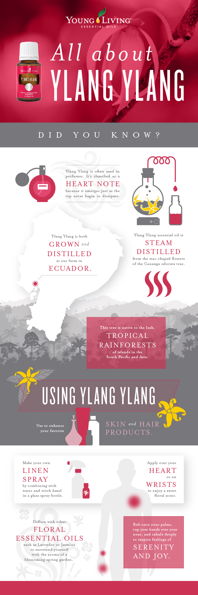 blog_AllAboutYlangYlang_infographic_US-01-1
